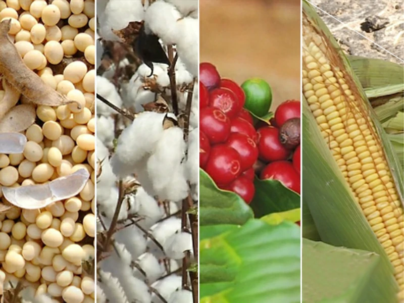 agricultura